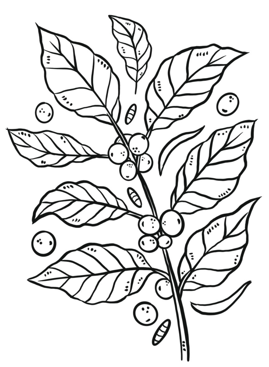 Bg Leaf