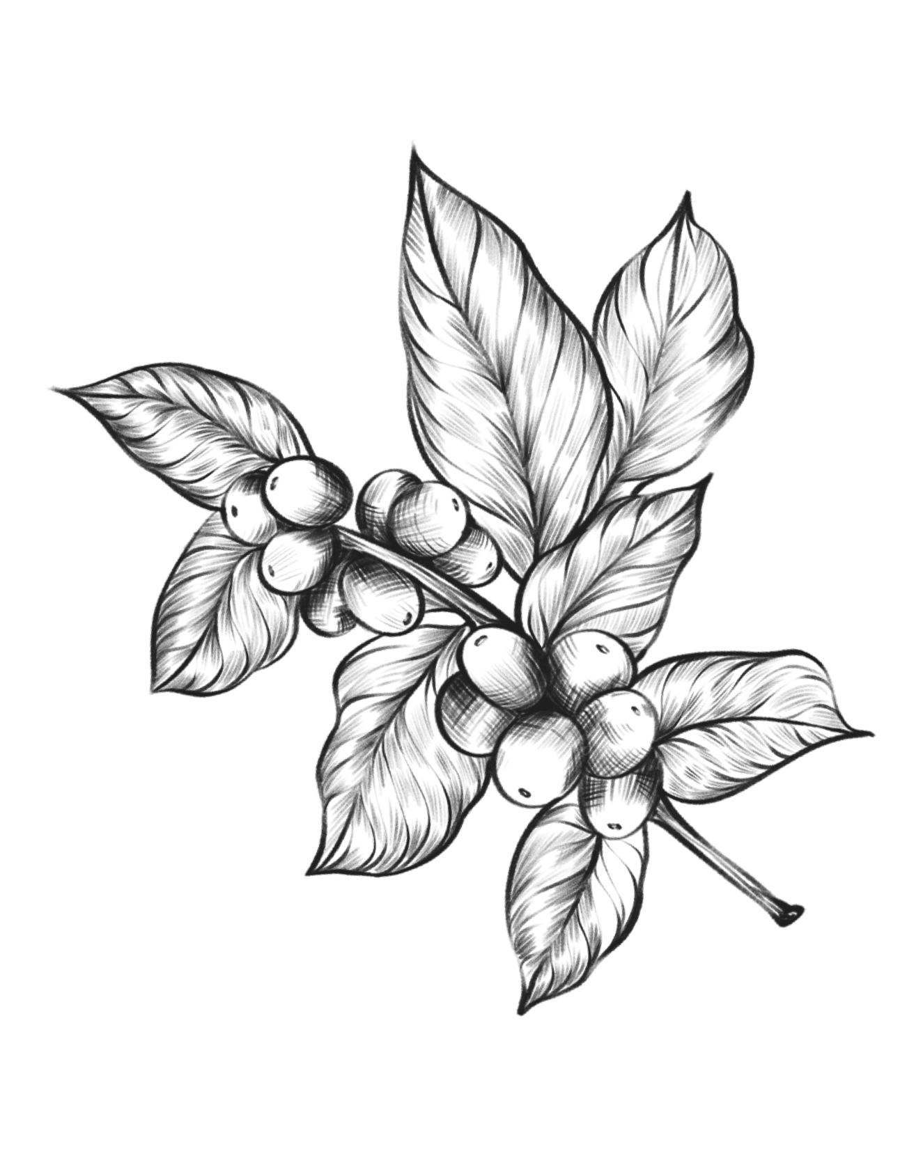 Fragrance Bg Image